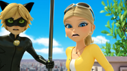 Miraculer 338