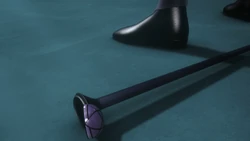 Click here to view the image gallery for Cane.