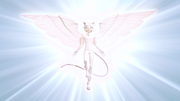 Miraculous World - Paris Special 430