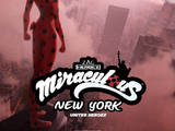 Miraculous New York