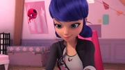 Marinette decides to reunite Tom and Roland.