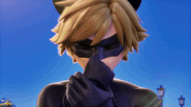 Miraculous Cat Noir