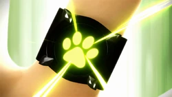 Click here to view the image gallery for Cat Miraculous.