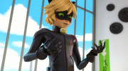 OR1-(286).png
