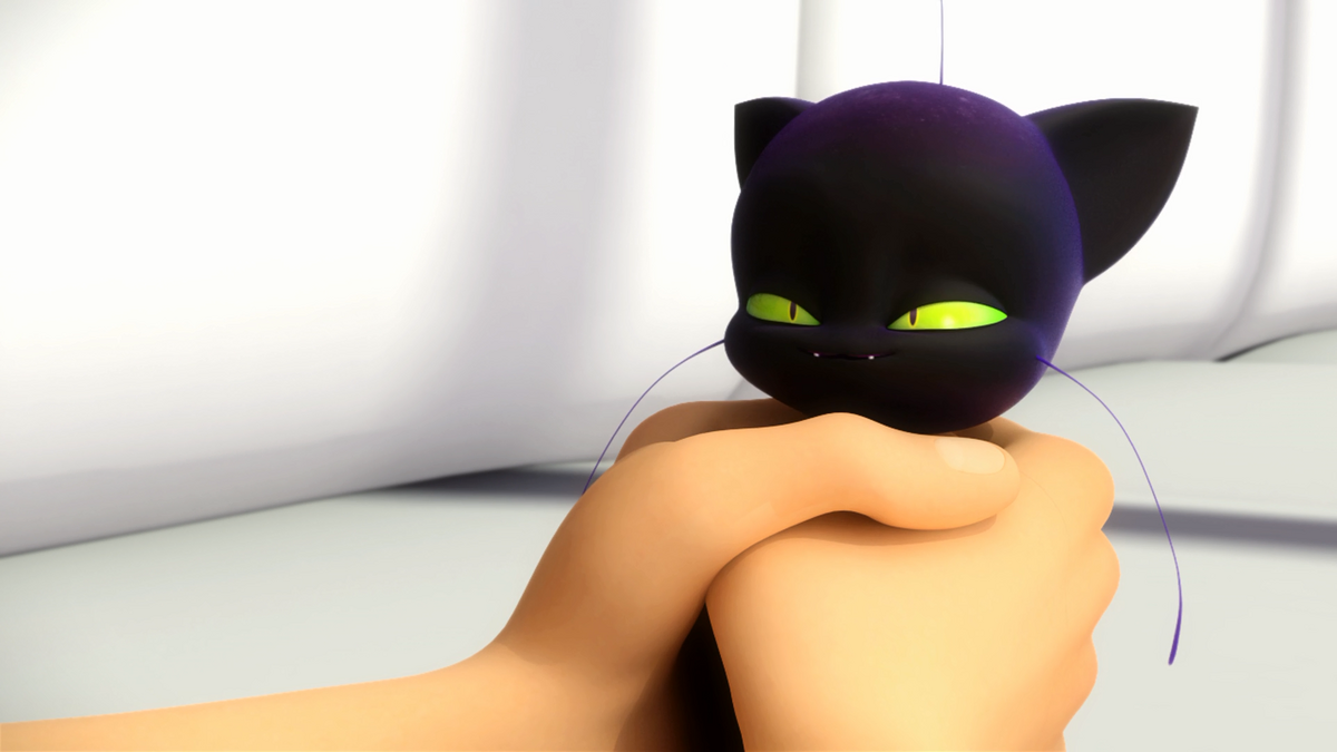 If Felix had the chat noir Miraculous, would it be transformed