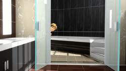 Click here to view the image gallery for Adrien's bathroom.