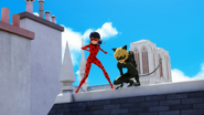 Miraculer 167