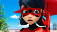 Miraculer 538