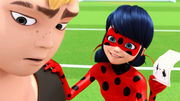 OR1-(438).png