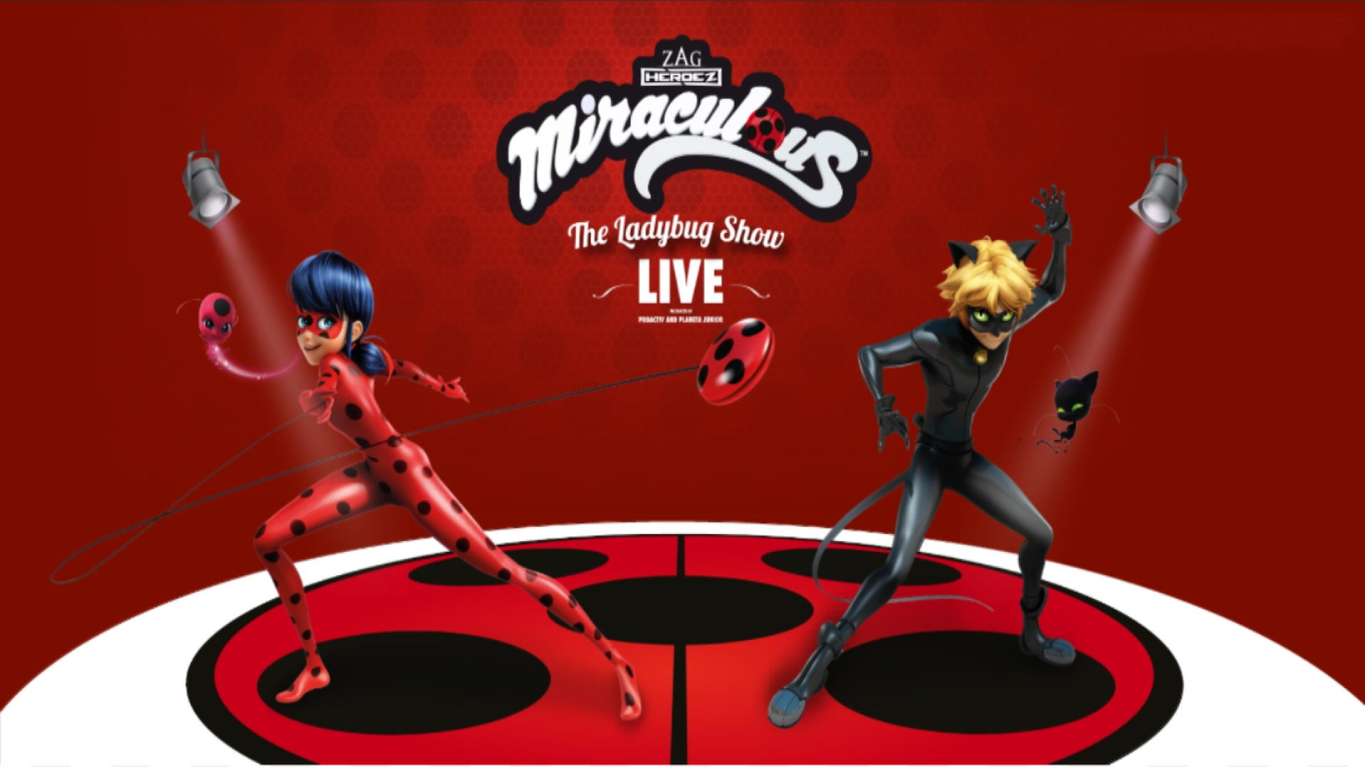 Miraculous Ladybug e Outras Series