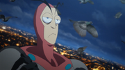 Ladybug PV (69)