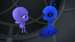 Click here to view the image gallery for Duusu.