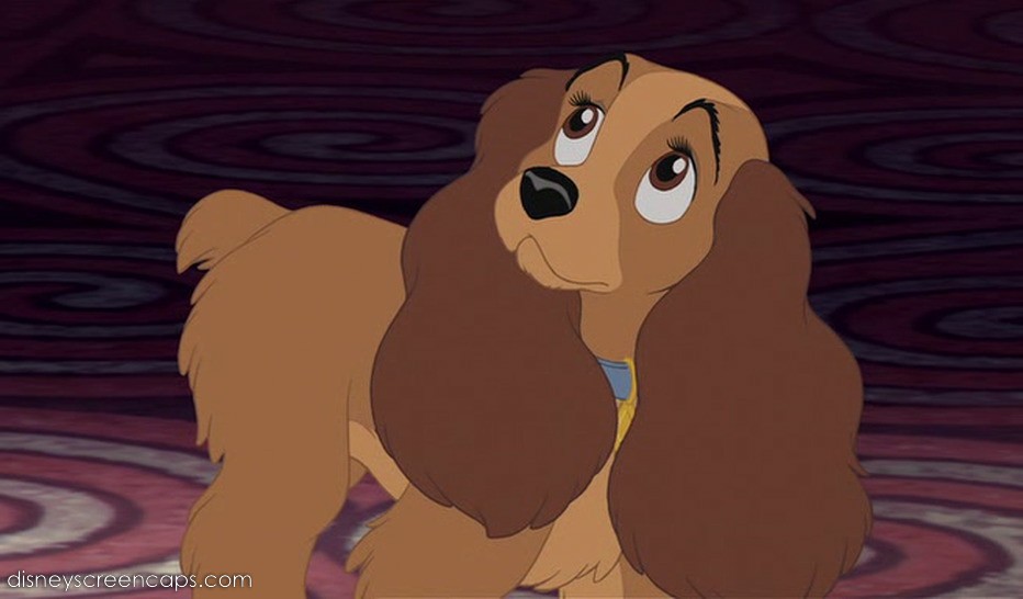 Lady | Lady And The Tramp Wiki | Fandom