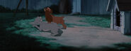 Lady-tramp-disneyscreencaps.com-7363