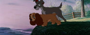 Lady-tramp-disneyscreencaps.com-5810