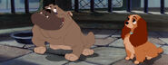 Lady-tramp-disneyscreencaps.com-6964