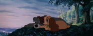 Lady-tramp-disneyscreencaps.com-5735