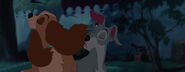 Lady-tramp-disneyscreencaps.com-7355