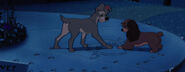 Lady-tramp-disneyscreencaps.com-5580