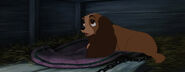 Lady-tramp-disneyscreencaps.com-7164