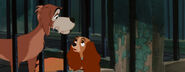 Lady-tramp-disneyscreencaps.com-6626