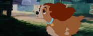 Lady-tramp-disneyscreencaps.com-6096