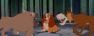 Lady-tramp-disneyscreencaps.com-6458