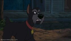 Tramp2-disneyscreencaps com-6761