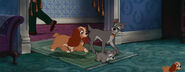 Lady-tramp-disneyscreencaps.com-8595