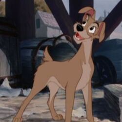 Lady and the tramp characters outlet