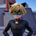 Cat Noir Quadrat