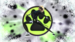 Cat noir deutsch - Die besten Cat noir deutsch analysiert