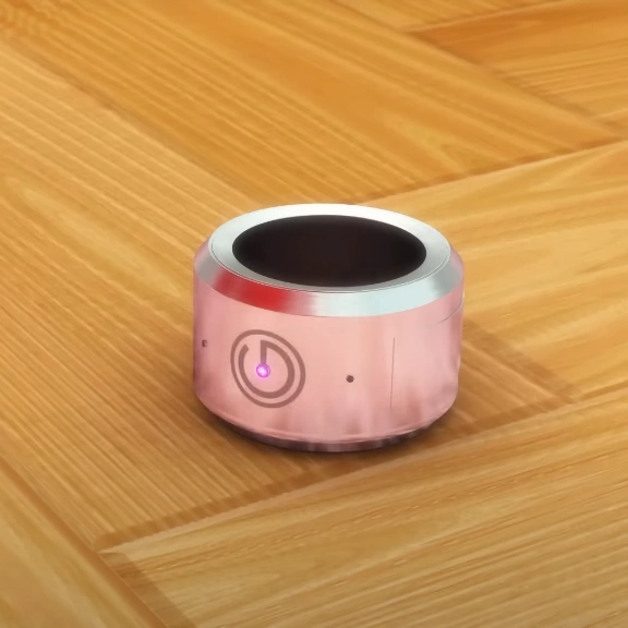 Alliance Ringe | Miraculous Ladybug Wiki | Fandom