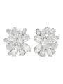 (Bulgari)