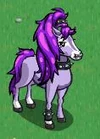 Purpleponytail.jpg (5 KB) The Purple Ponytail Horse
