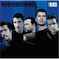New Kids on the Block Big Girl Now (2008)