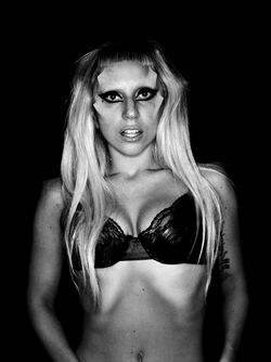 Nick Knight/12-14-10/2 | Gagapedia | Fandom