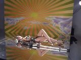 5-14-09 David LaChapelle 013