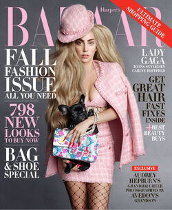 女性情報誌 Harper's BAZAAR Magazine June/July 2018 Must Read: Bella Hadid Stars on the June/July Cover of