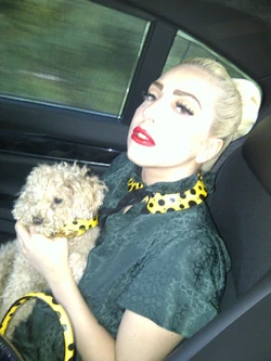 2012/August | Gagapedia | Fandom
