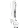 Pleaser - Transparent boots.jpg (72 KB) 2020