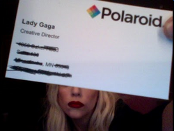 Polaroid, Gagapedia