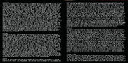 TFM Booklet 004.jpg (1.7 MB)