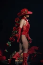 [7] Joanne World Tour (2017-2018)