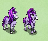 Gagaville Ponies