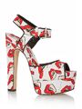 (Brian Atwood x Donald Robertson)