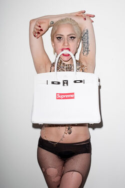 Terry Richardson/6-7-10 | Gagapedia | Fandom