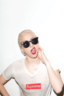 Terry Richardson/6-7-10/4 | Gagapedia | Fandom