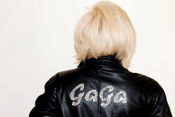 Terry Richardson/2010 | Gagapedia | Fandom