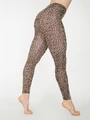 AA - Leggings.jpg (229 KB)